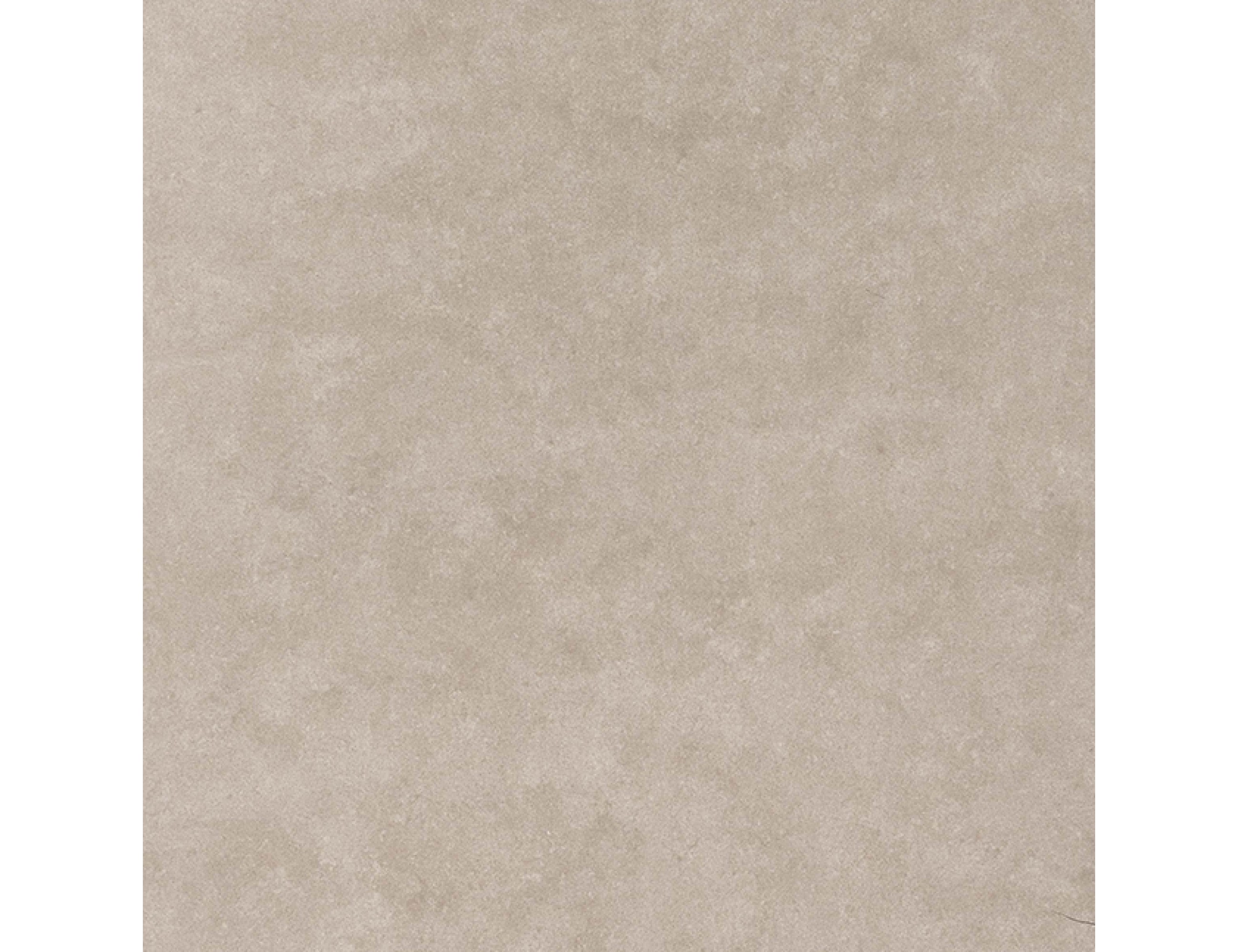 Timeless Taupe